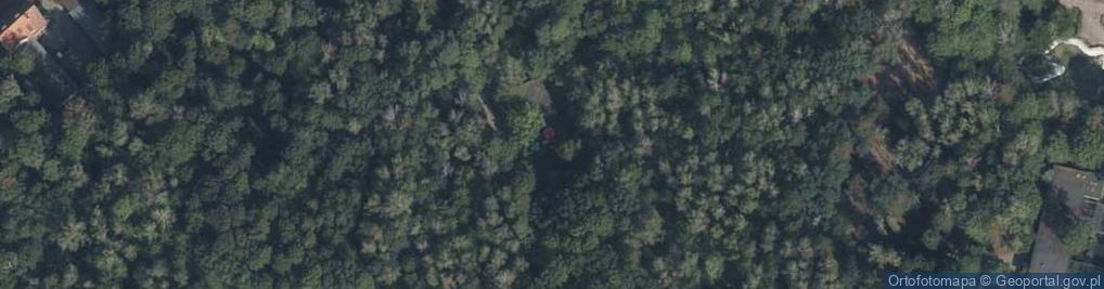 Zdjęcie satelitarne Lody