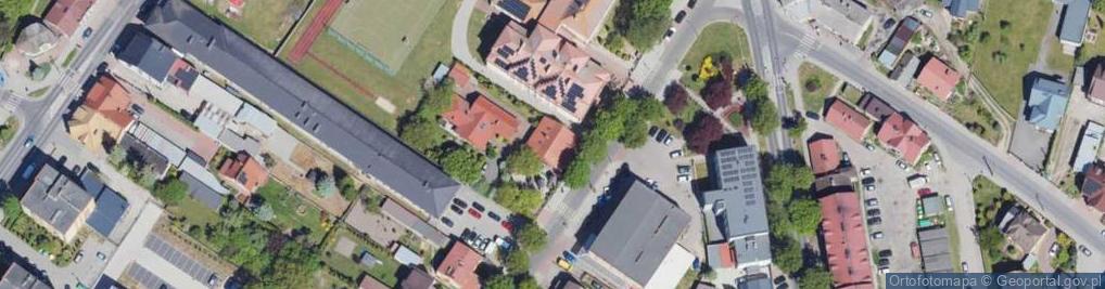 Zdjęcie satelitarne Lody