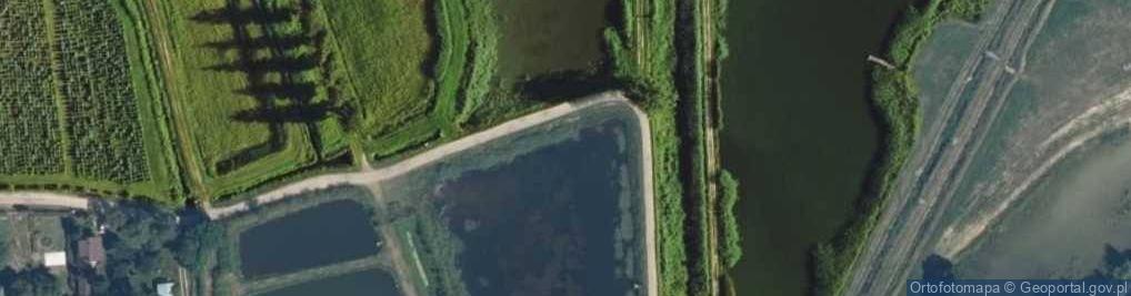 Zdjęcie satelitarne Grzegorzewice - Łowiski komercyjne