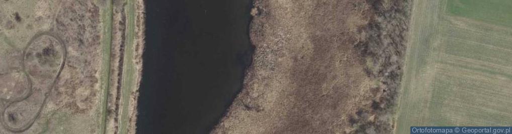 Zdjęcie satelitarne Stawy Rybne w Krzyżu