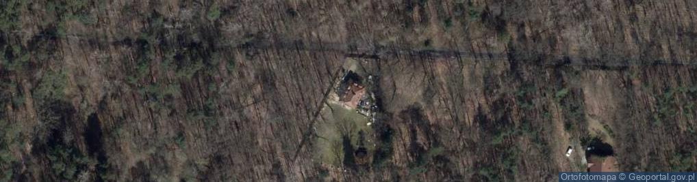 Zdjęcie satelitarne Pasieka Edukacyjna Leśna Polana Arturówek