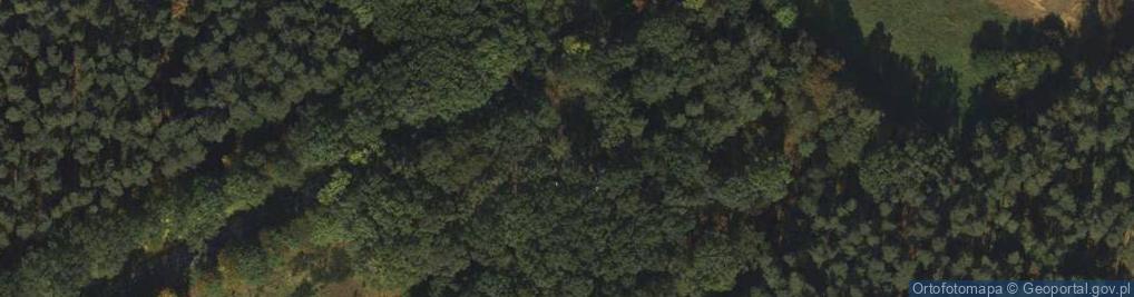 Zdjęcie satelitarne Wiata rowerowa SBL - Międzyrzecze Las
