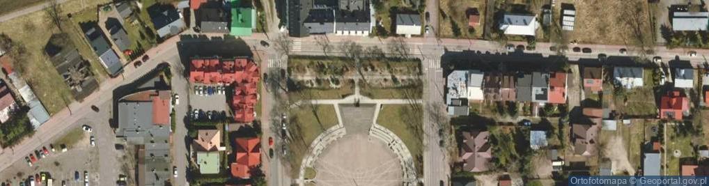 Zdjęcie satelitarne Monitoring Miejski