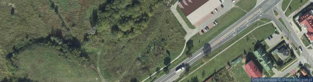 Zdjęcie satelitarne Moya