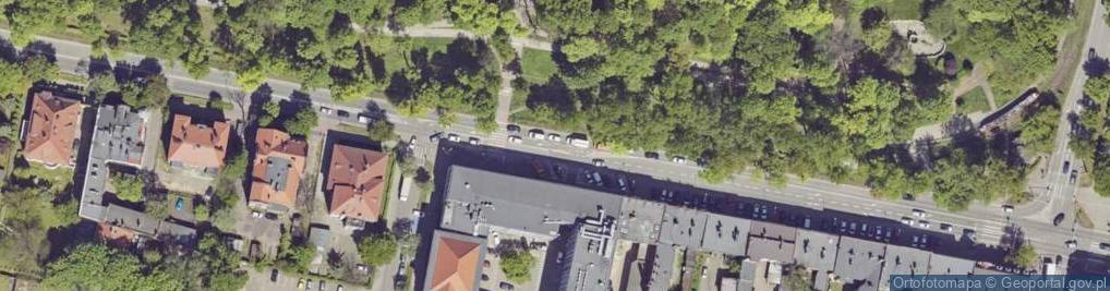 Zdjęcie satelitarne Lodowisko Plenerowe