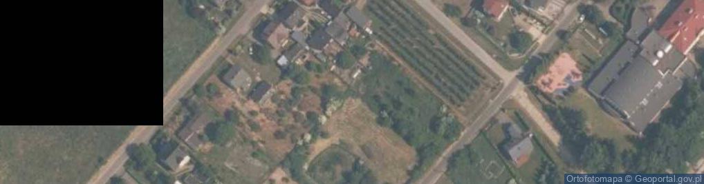 Zdjęcie satelitarne Muzeum Lasu i Drewna