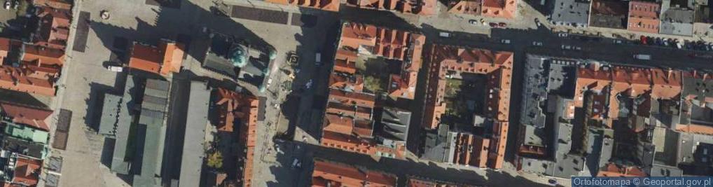 Zdjęcie satelitarne Rogalowe Muzeum Poznania