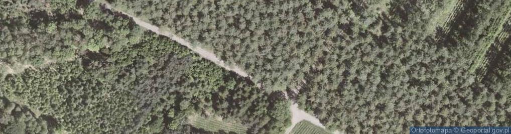 Zdjęcie satelitarne Poligon testowy Bumaru Łabędy