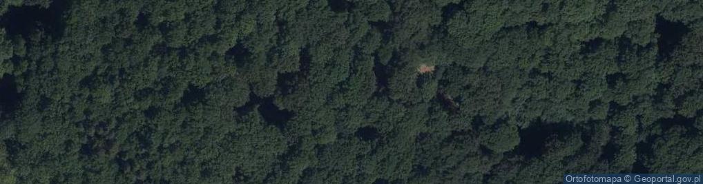 Zdjęcie satelitarne Wschodni Obszar Poligonu