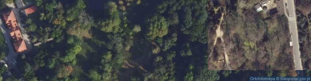 Zdjęcie satelitarne Ogród Botaniczny Polskiej Akademii Nauk w Kórniku Arboretum Kórnickie