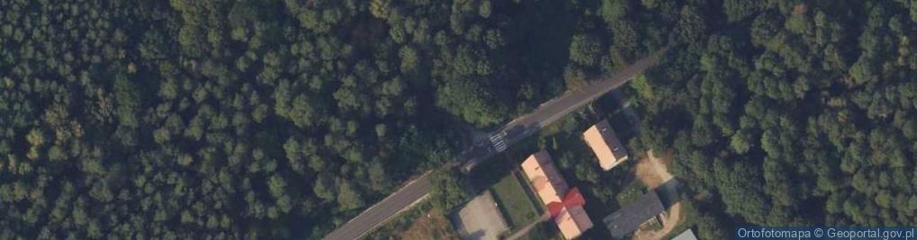 Zdjęcie satelitarne Park dendrologiczny Nad Stążką