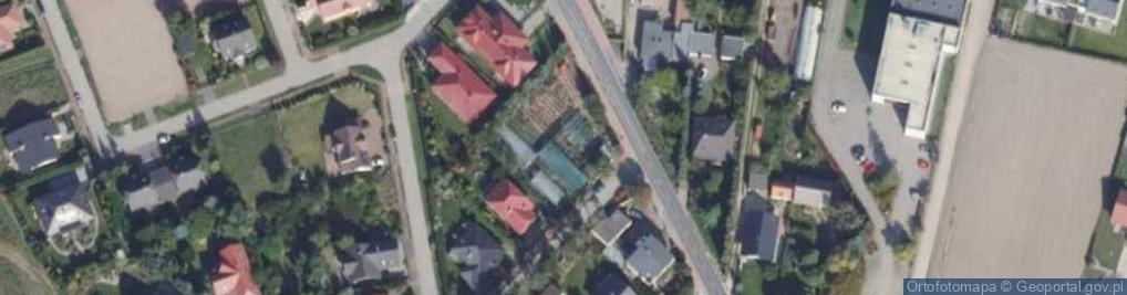 Zdjęcie satelitarne Dominiak Halina i Jan. Szkółki drzew, krzewów ozdobnych i owoco