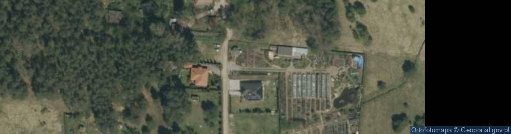 Zdjęcie satelitarne Future Gardens - szkółka ogrodnniczo-zielarska