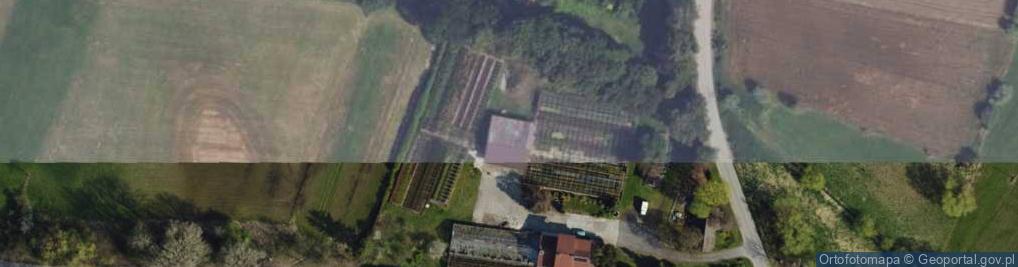 Zdjęcie satelitarne IGLAKI Szkółka drzew i krzewów ozdobnych