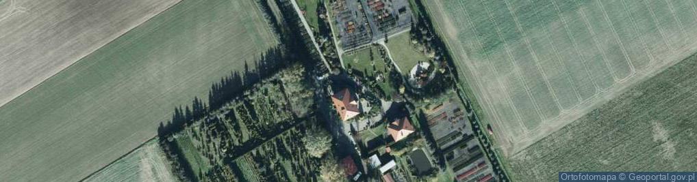 Zdjęcie satelitarne Park Roślin