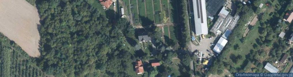 Zdjęcie satelitarne Szkółka Krzewów Jagodowych Koter