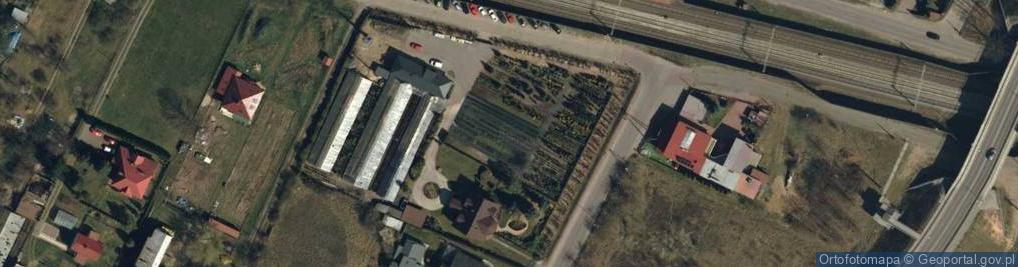Zdjęcie satelitarne Szkółka Roślin Iglastych