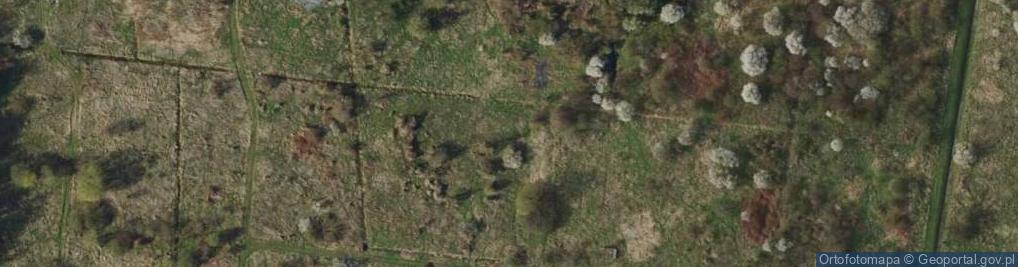 Zdjęcie satelitarne Ogródki Działkowe 3 Maja