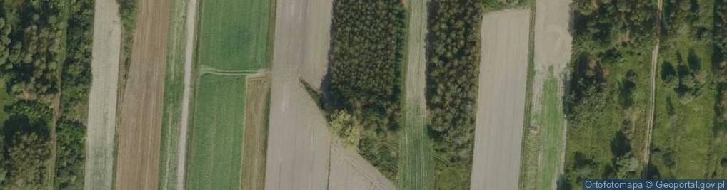 Zdjęcie satelitarne ORLEN Paczka Punkty