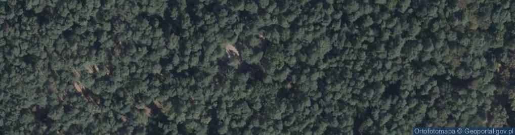 Zdjęcie satelitarne Ośrodek Wypoczynkowy Łodzianka