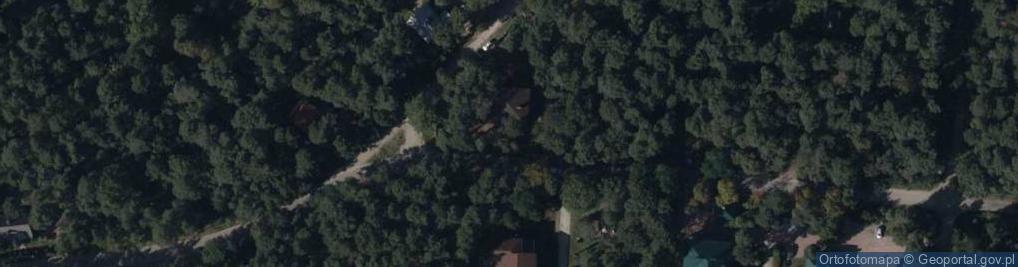 Zdjęcie satelitarne Śródborowianka