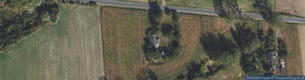 Zdjęcie satelitarne Dwór Stanisława Piaseczyńskiego