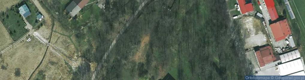 Zdjęcie satelitarne Dwór w Brzeźnicy