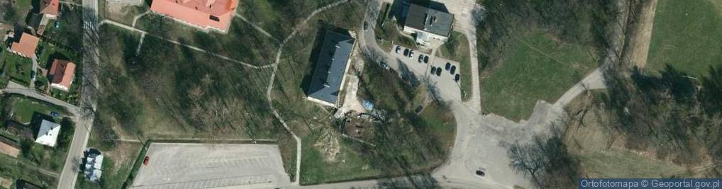 Zdjęcie satelitarne Dwór w Tarnowcu