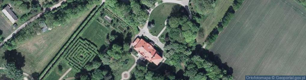 Zdjęcie satelitarne Dwór z 2 poł. XIX w.