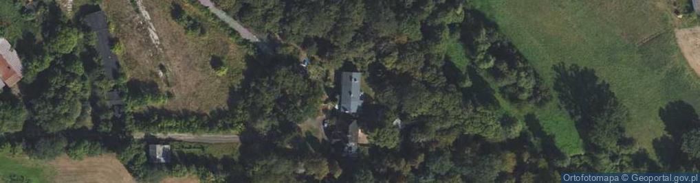 Zdjęcie satelitarne Dwór