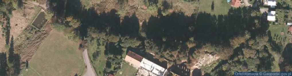 Zdjęcie satelitarne Jedlinka