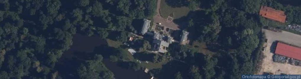 Zdjęcie satelitarne Pałac Wodzińskich (stary)
