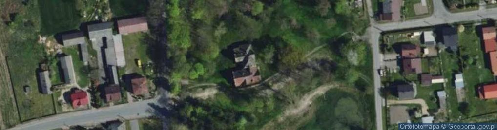 Zdjęcie satelitarne Zespół dworski w Dubidzach XVIII w.