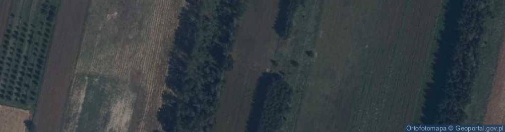 Zdjęcie satelitarne Panattoni Park Siedlce