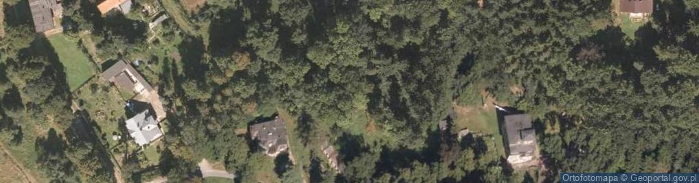 Zdjęcie satelitarne Dawny park zdrojowy