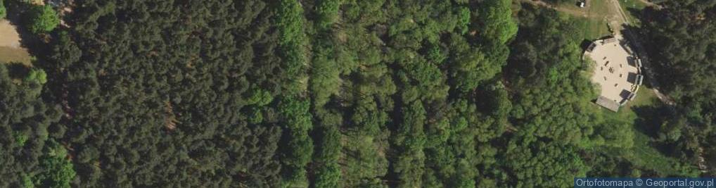 Zdjęcie satelitarne Leśny