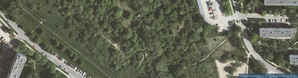 Zdjęcie satelitarne Park Aleksandry - Północ