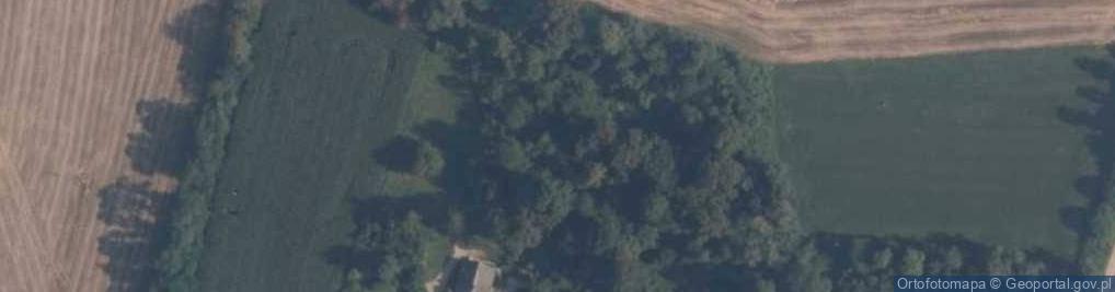 Zdjęcie satelitarne Park dworski XVIII w.