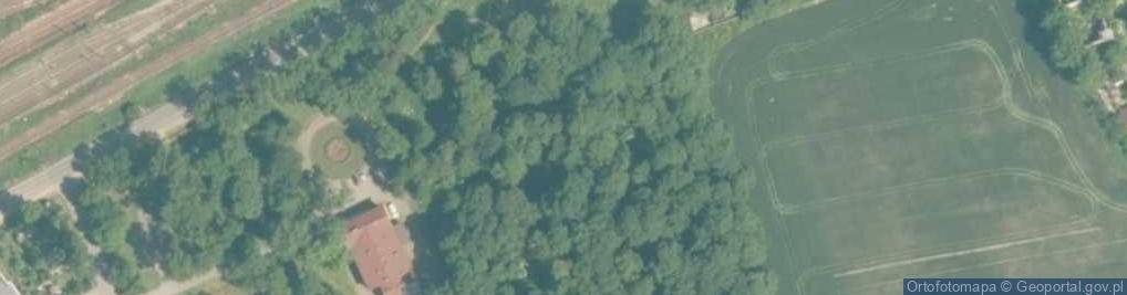 Zdjęcie satelitarne Park dworski