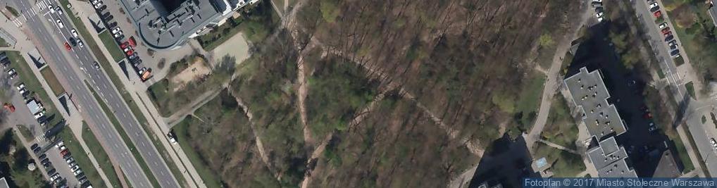 Zdjęcie satelitarne Park Lasek Brzozowy