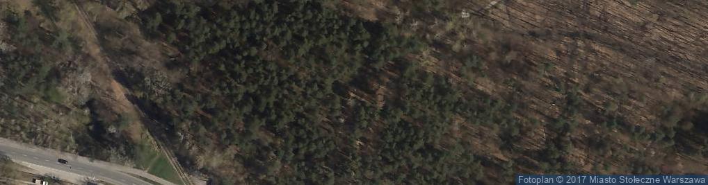 Zdjęcie satelitarne Park Leśny Bemowo