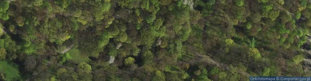 Zdjęcie satelitarne Park Miejski im. Donnersmarcków