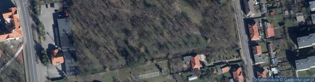 Zdjęcie satelitarne Park Miejski