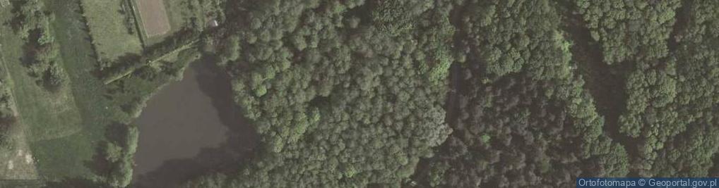Zdjęcie satelitarne Park na Grabówkach