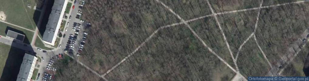 Zdjęcie satelitarne Park Piastowski