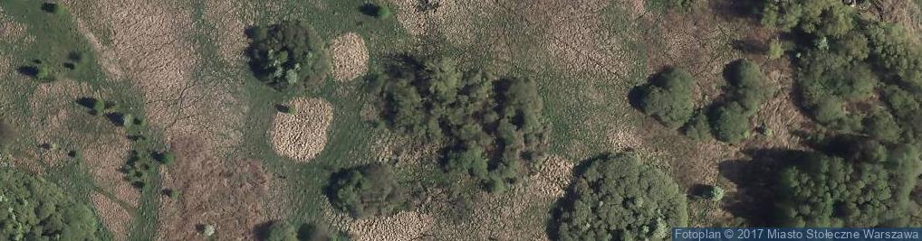 Zdjęcie satelitarne Park Polińskiego