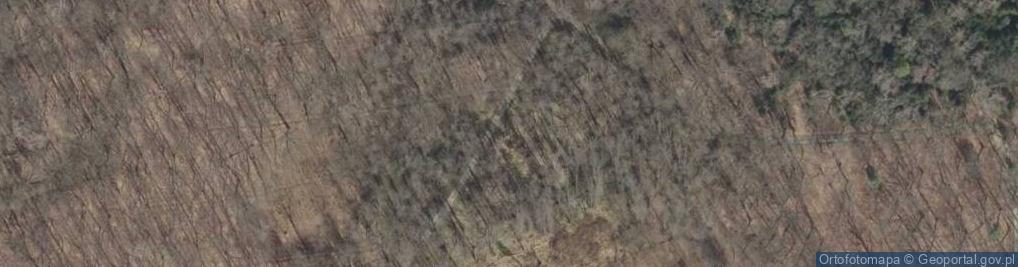 Zdjęcie satelitarne Park Sośnina w Tarnowie - Zbylitowskiej Górze