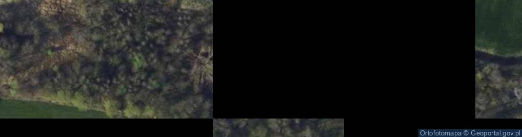 Zdjęcie satelitarne Podworski