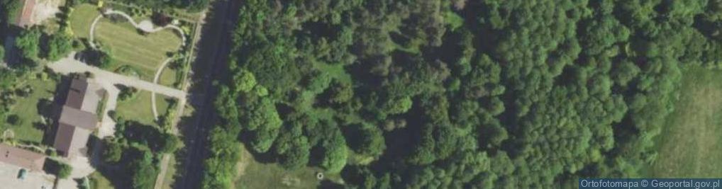 Zdjęcie satelitarne Zespół Pałacowo-Parkowy w Potoku Złotym