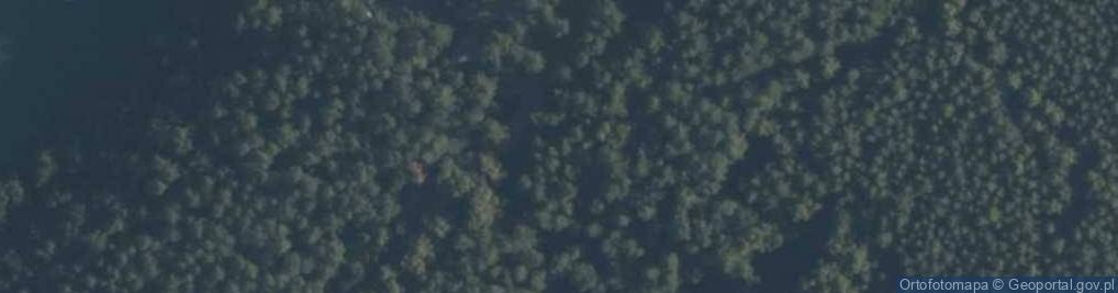 Zdjęcie satelitarne O¶rodek Wypoczynkowy Jeziornik w Borzechowie